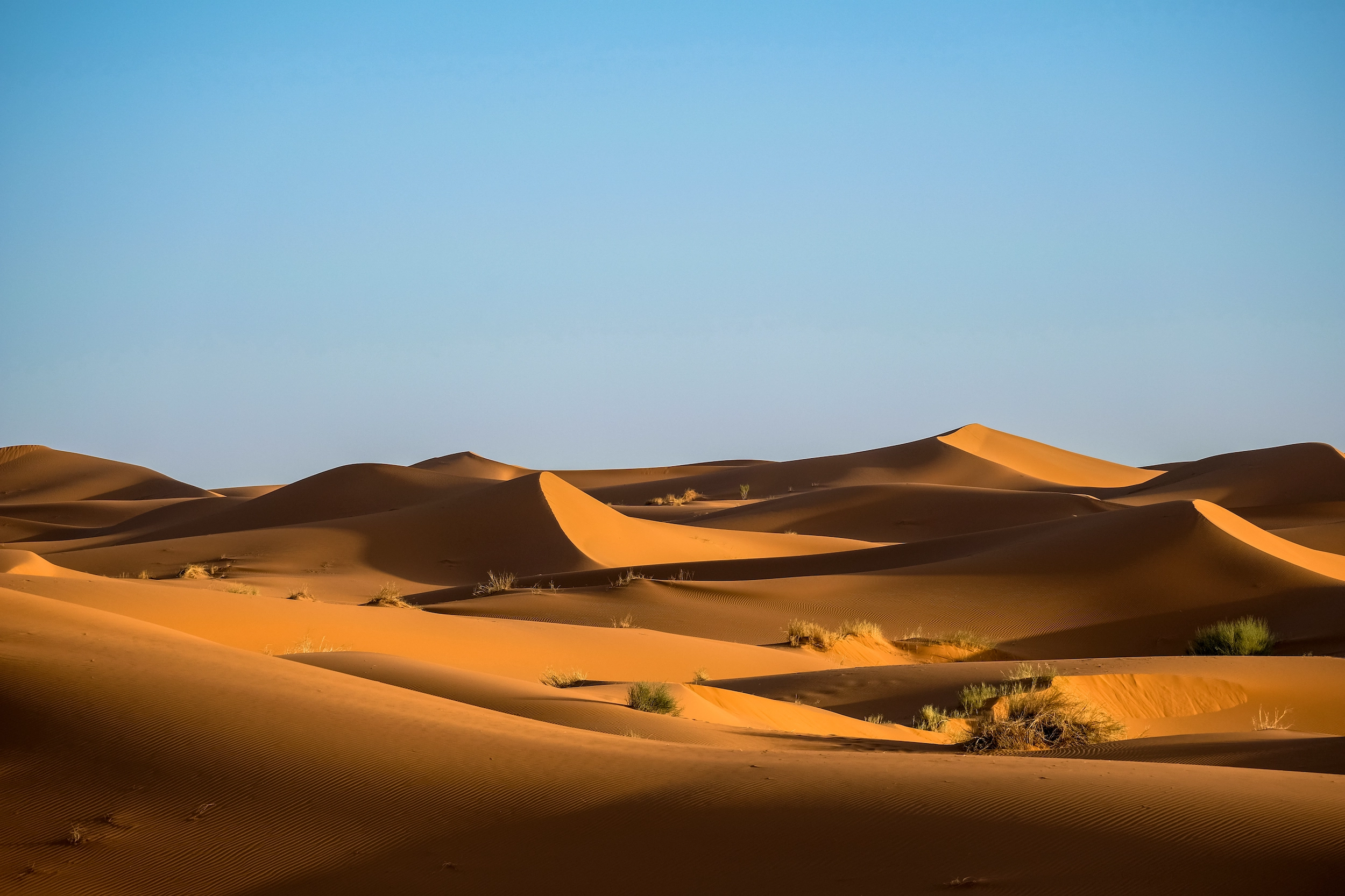 S'accorder une pause BO DEVELOPPEMENT